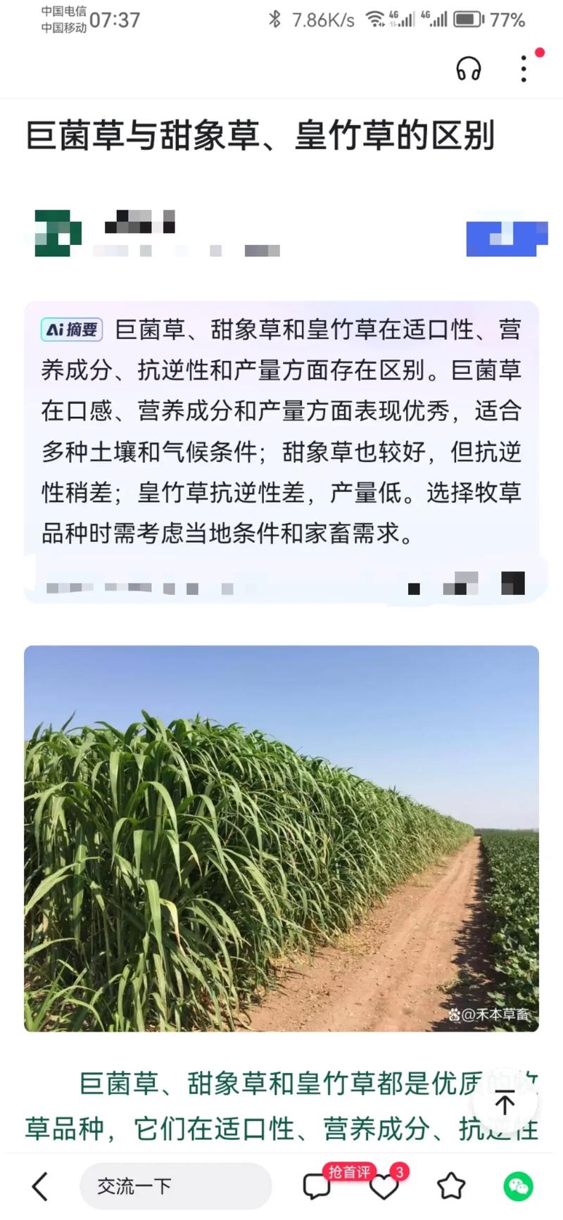 黃竹草、甜象草、巨菌草 三類(lèi)高產(chǎn)牧草的粗蛋白產(chǎn)量、種植效益與DTM對(duì)賬方法對(duì)比